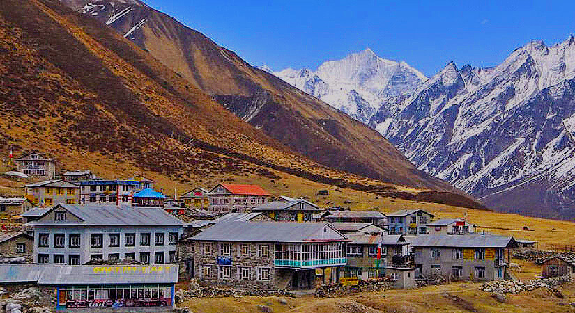 accommodations-in-langtang-valley