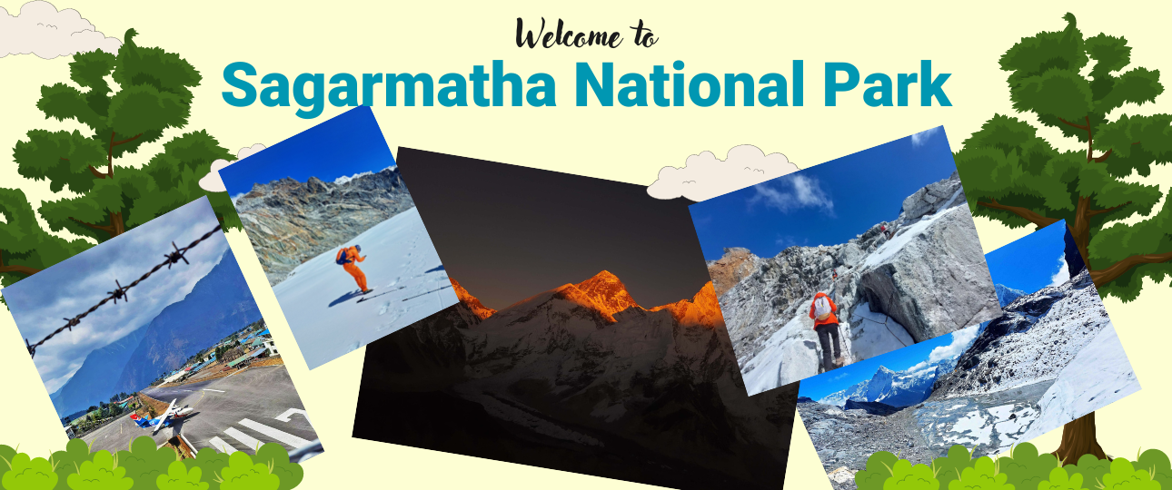 sagarmatha-national-park-the-home-of-himalayas