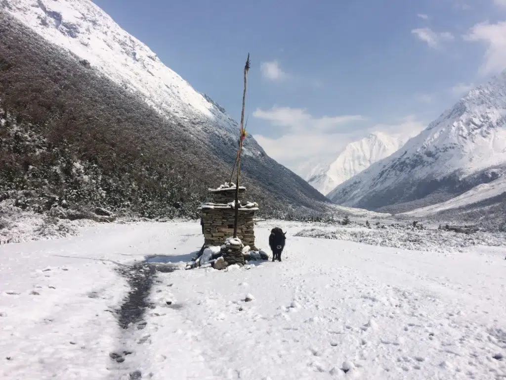 snow-covered-tsum-valley-trail