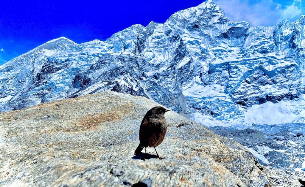 weather-in-everest-base-camp